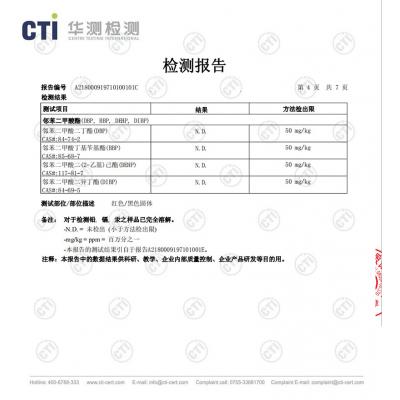 檢測報告